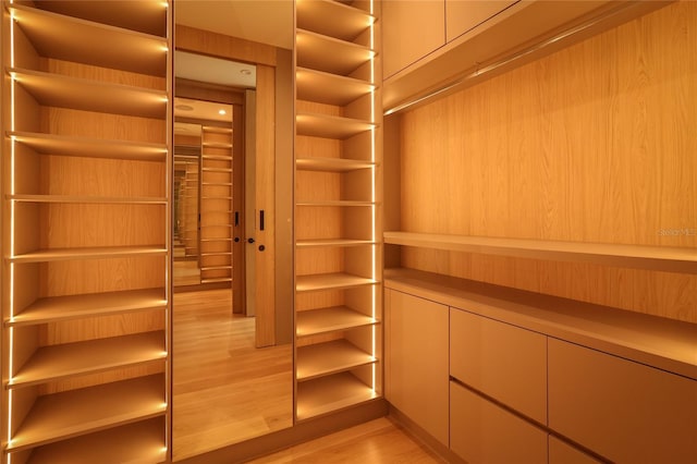 spacious closet with light hardwood / wood-style floors