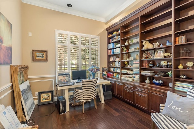 office featuring ornamental molding and dark hardwood / wood-style floors