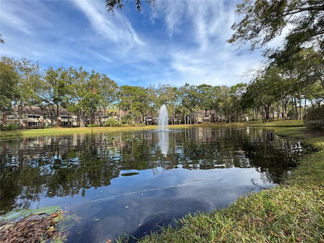 water view