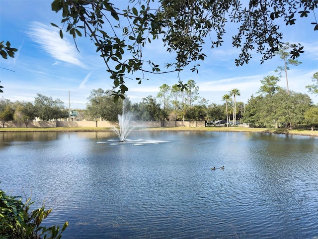 view of water feature