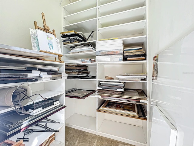 spacious closet with carpet flooring