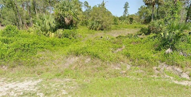 635 S Trebol St, Clewiston FL, 33440 land for sale