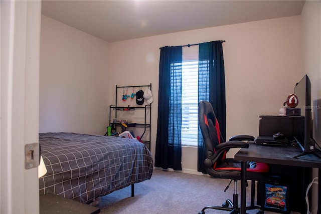 bedroom with carpet floors