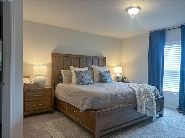 bedroom featuring carpet floors and multiple windows