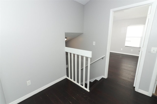 stairs with hardwood / wood-style floors