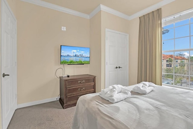 carpeted bedroom with crown molding and a closet