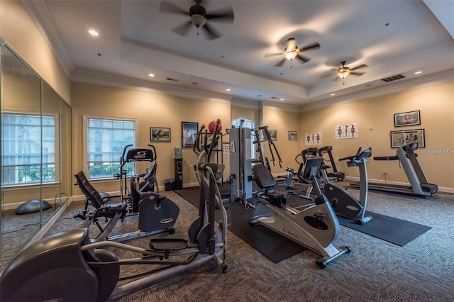 exercise room featuring a raised ceiling