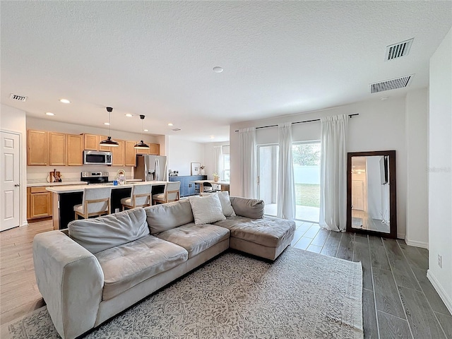 living room featuring a textured ceiling