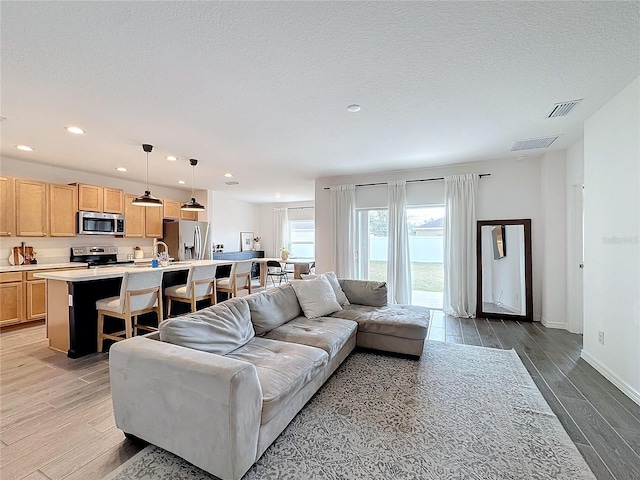 living room featuring a textured ceiling