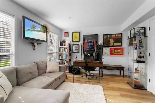 living room with light wood-type flooring