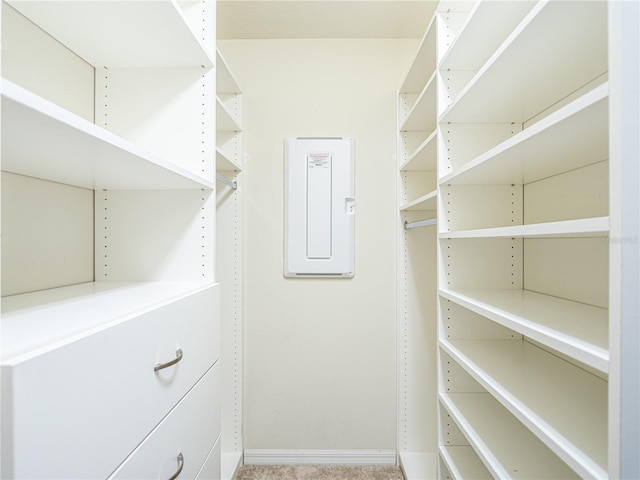 spacious closet with electric panel