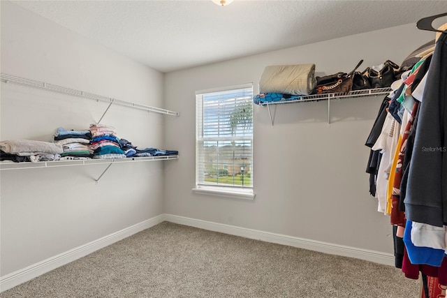 spacious closet with carpet flooring