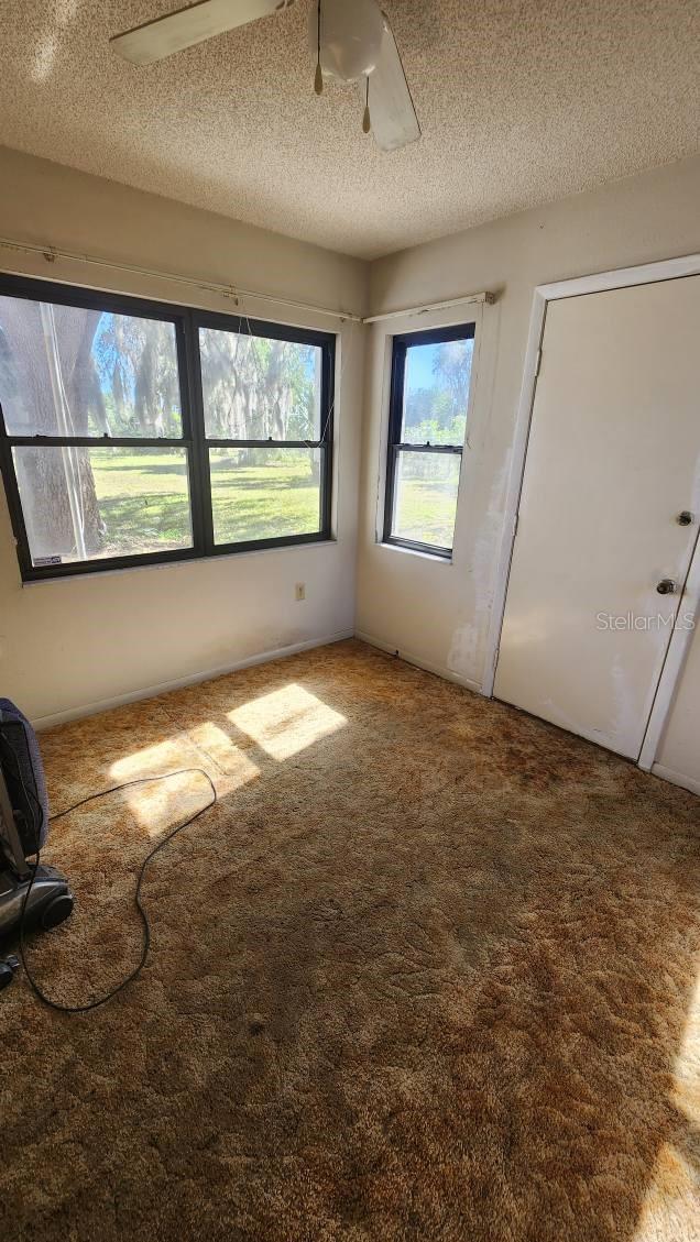 unfurnished bedroom featuring carpet, a textured ceiling, and ceiling fan