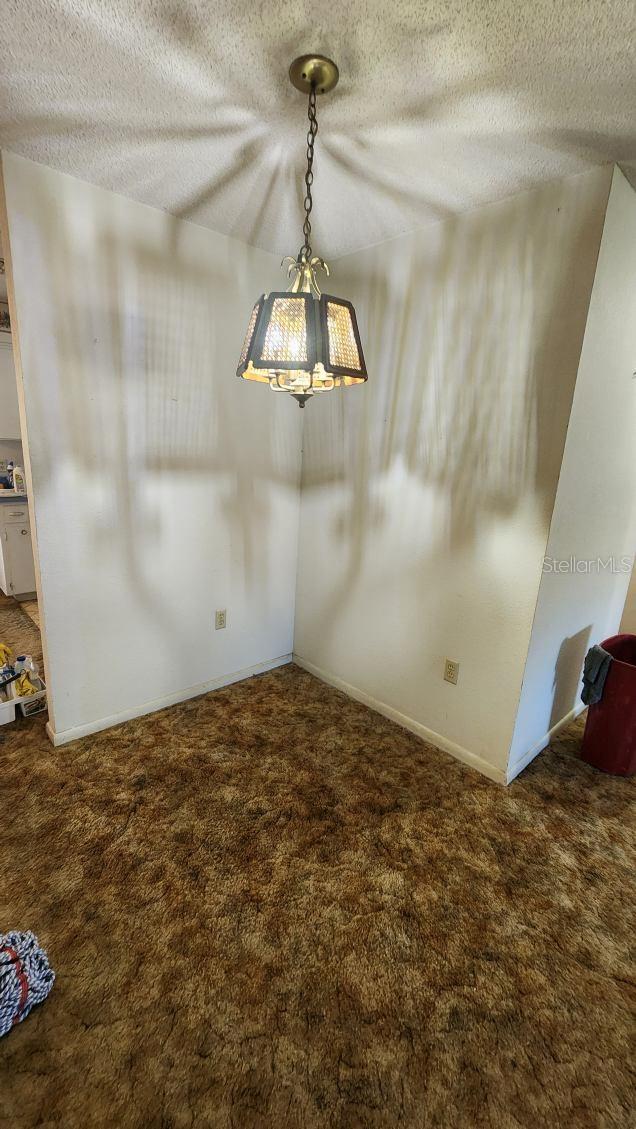 unfurnished dining area featuring carpet floors and a textured ceiling