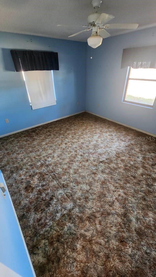 carpeted spare room with ceiling fan