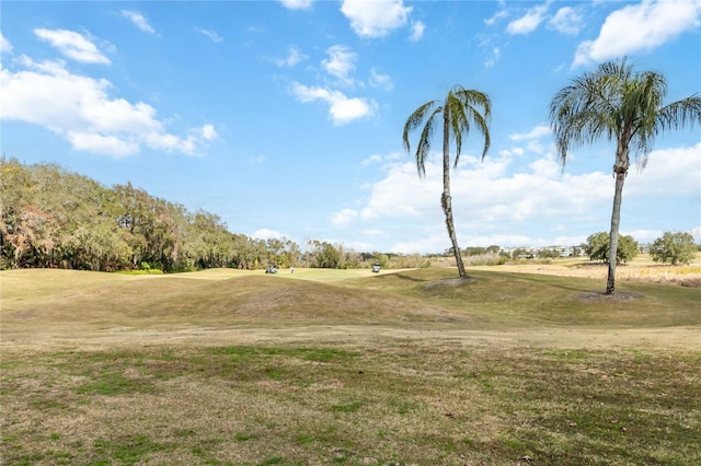 view of property's community featuring a yard