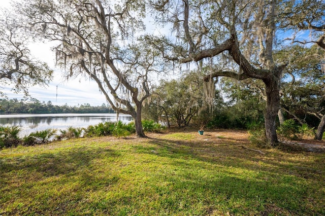 view of yard featuring a water view