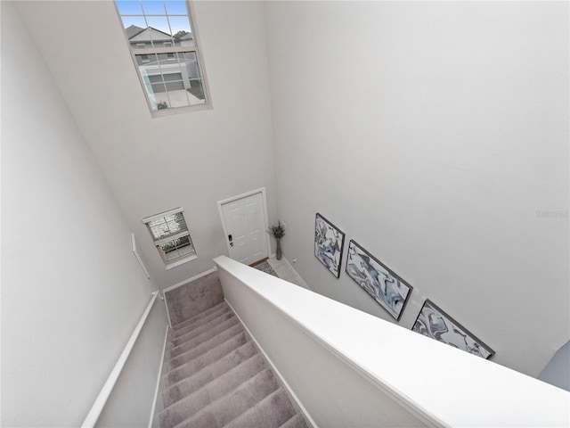 staircase with carpet floors