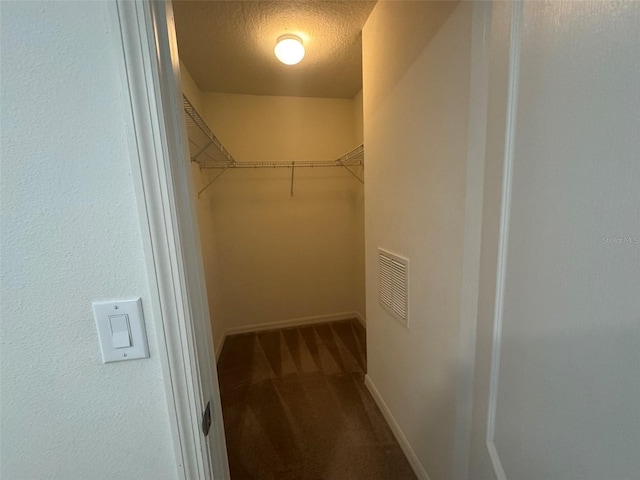 spacious closet with carpet