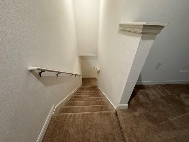 stairs featuring carpet flooring