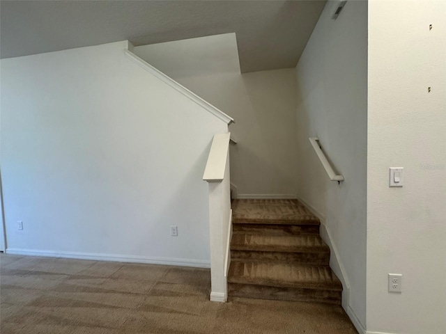 stairway featuring carpet flooring