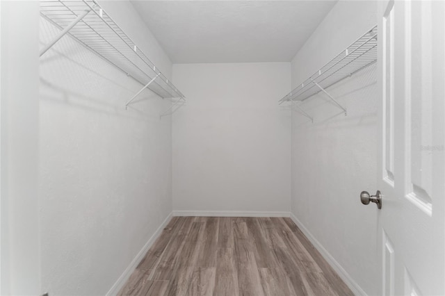 walk in closet with wood-type flooring