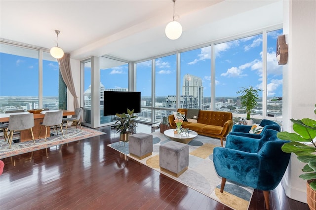 living room with a wall of windows and dark hardwood / wood-style floors