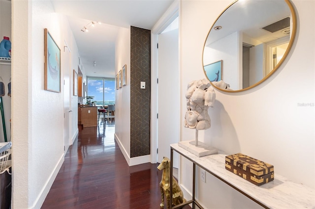 hallway with a wall of windows, rail lighting, and dark hardwood / wood-style floors