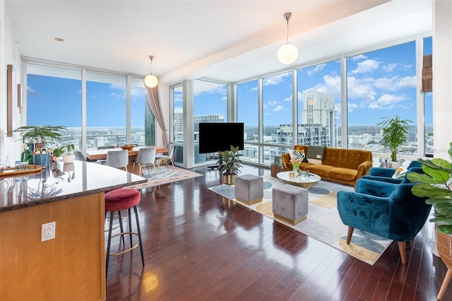 living room featuring a wall of windows and dark hardwood / wood-style flooring