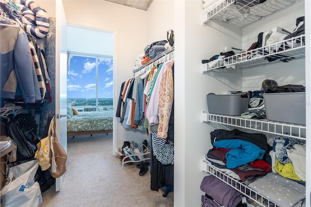 walk in closet featuring carpet