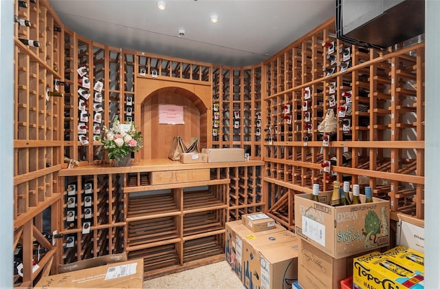 wine cellar featuring carpet