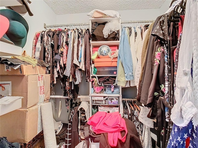 view of spacious closet