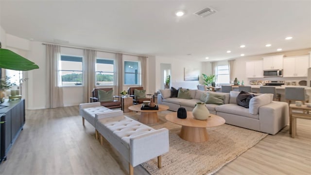 living room featuring a healthy amount of sunlight and light hardwood / wood-style floors