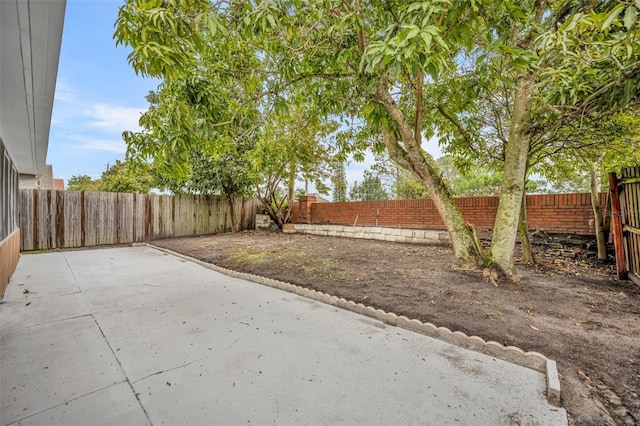 view of yard featuring a patio area