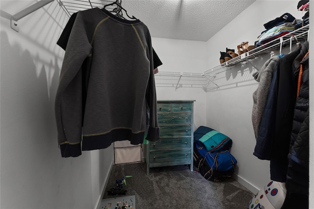 spacious closet with dark carpet