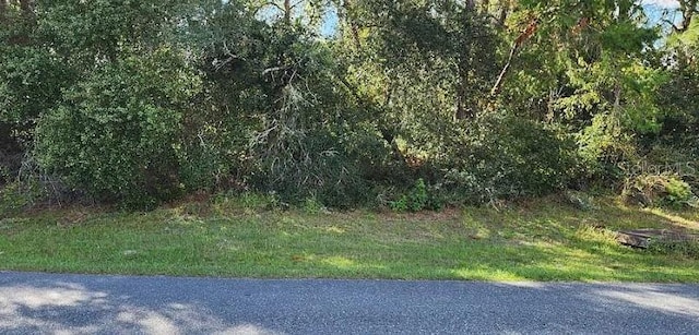 Sw 170 Place, Ocala FL, 34473 land for sale