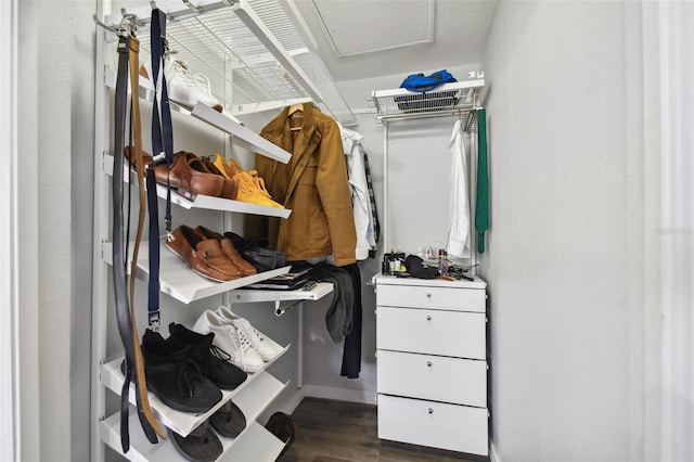 walk in closet featuring dark hardwood / wood-style floors