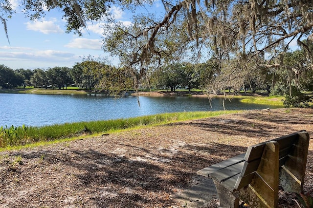 view of water feature