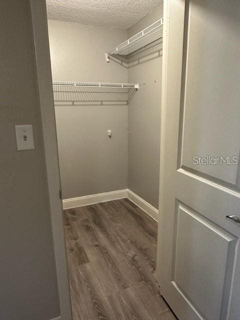 walk in closet featuring dark wood-type flooring