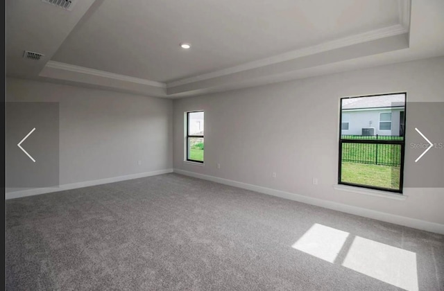 unfurnished room featuring a raised ceiling, ornamental molding, and carpet flooring