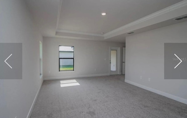 carpeted empty room with ornamental molding and a raised ceiling