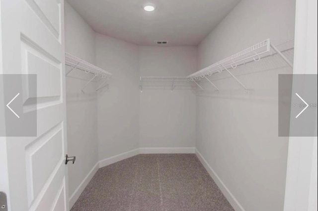 spacious closet with carpet