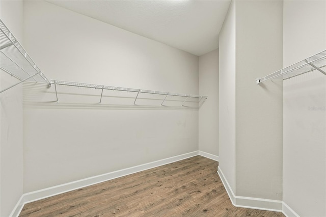 walk in closet featuring hardwood / wood-style floors