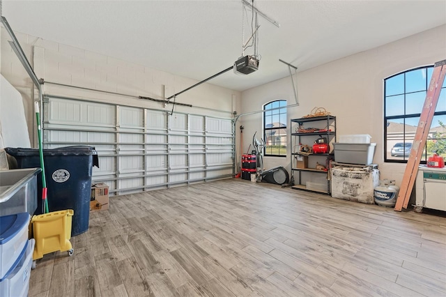 garage with a garage door opener