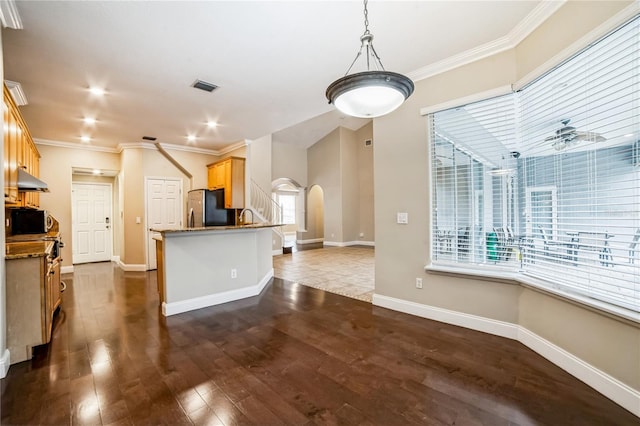 kitchen with a wealth of natural light, appliances with stainless steel finishes, pendant lighting, ceiling fan, and dark hardwood / wood-style floors