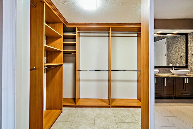 spacious closet with sink