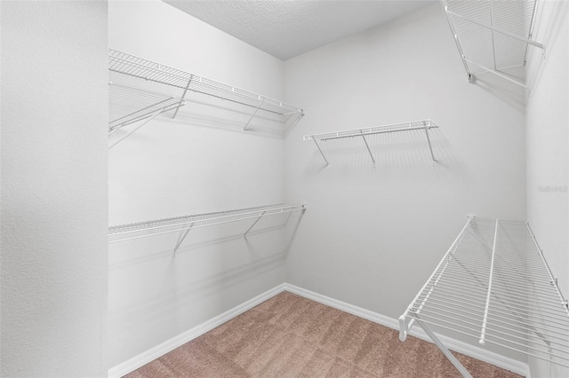 spacious closet with carpet flooring