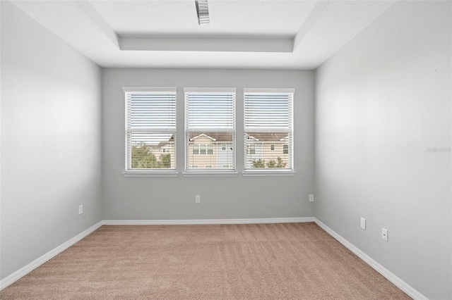 carpeted empty room with a healthy amount of sunlight and a tray ceiling