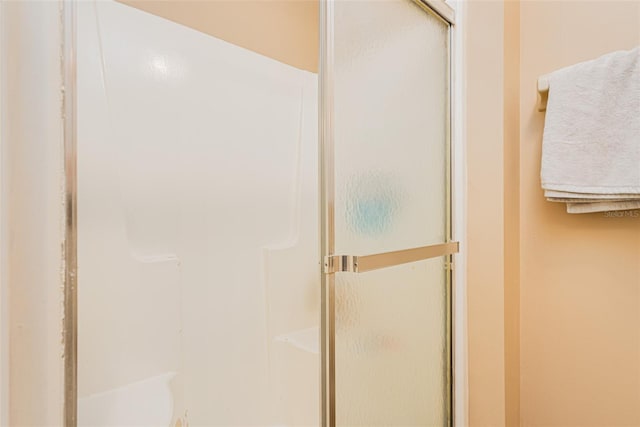 bathroom featuring a shower with shower door