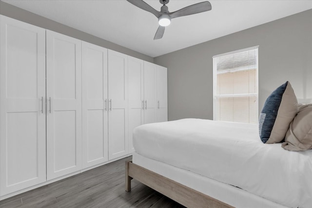 bedroom with ceiling fan, a closet, and light hardwood / wood-style flooring